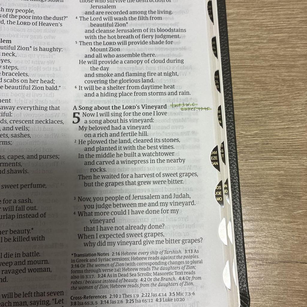 [USED] New Living Translation bible large print