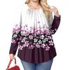 Women's Plus Size Fashion Printed Casual Pleated Round Neck Long Sleeve Top