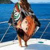 1pc Haikyuu4 Beach Towel with Custom Name, Beach/Swimming/Bath/Picnic/Camping Towel, Suitable for Seaside Beaches