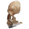 New Skull Night Lamp, Ambient Adjustment Light Skull Night Lamp Halloween Resin Decoration