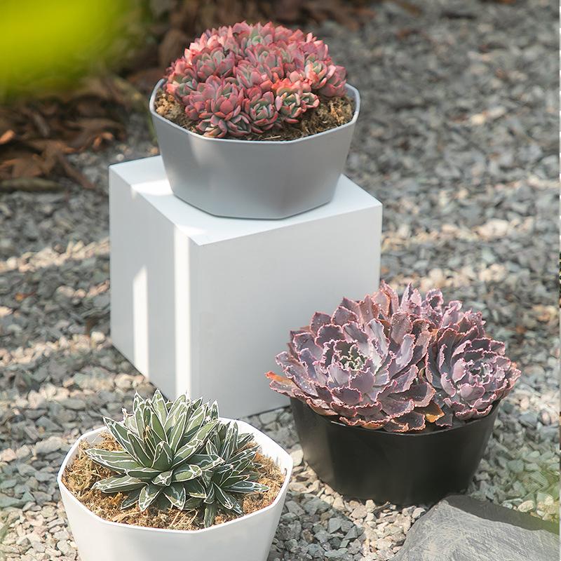 1/3/4pcs Morden Decorative Creation Flower Pots and Planter with Tray for Indoor Outdoor Garden House PlantsAfrican Variety