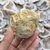 Natural Agate Geode Raw Crystal Mineral Energy Healing Crystals Lucky Stone Cluster Cave Collection Specimen