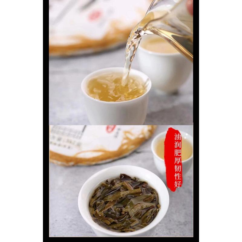 Yunnan 2021 Tea Long Yin Ban Zhang Pu'er Tea Raw Tea 357g Cake Tea