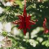 Christmas Decoration Wine Red Plush Flower Wreath Elk Pendant Outdoor Hangable Holiday Decor Red Flocking Festive Party Supplies