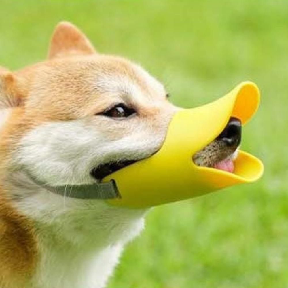 Pet duckbill cover-Yellow S code