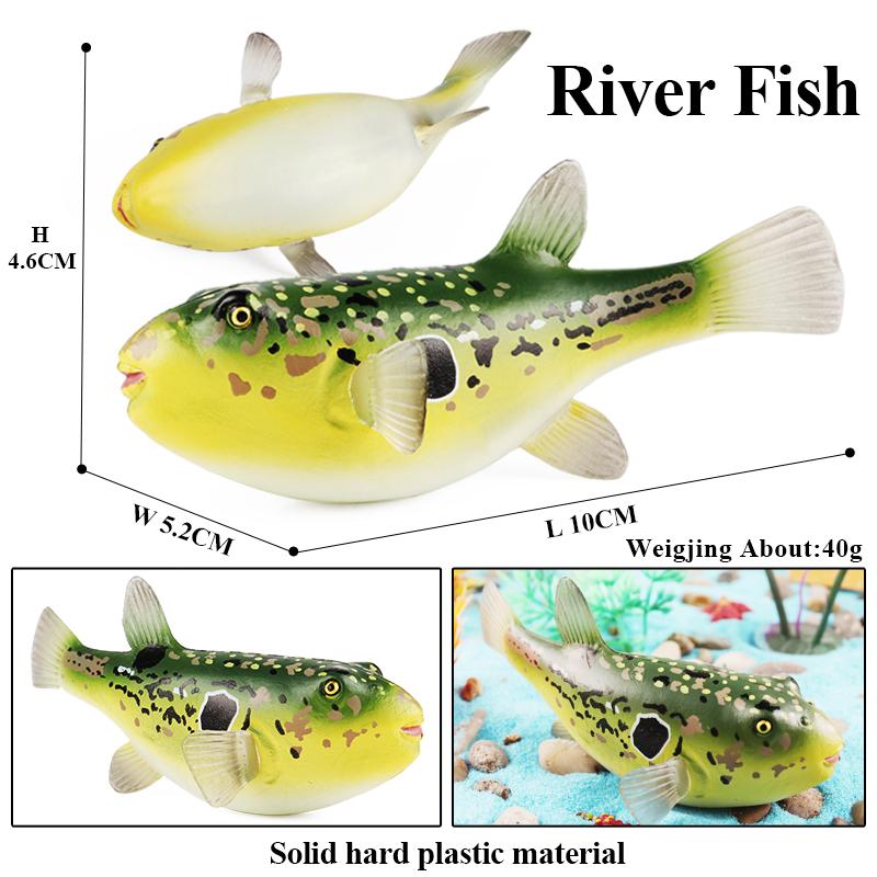 Oenux Sea Life Animals Coral Octopus Nautiloidea Crab Starfish Ocean Model Action Figures Educational Collection Toy Kid Gift