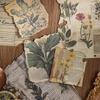 30 Pcs Vintage INS Material Paper Planner Handmade DIY Scrapbooking Diary Album Background Paper Craft Supplies