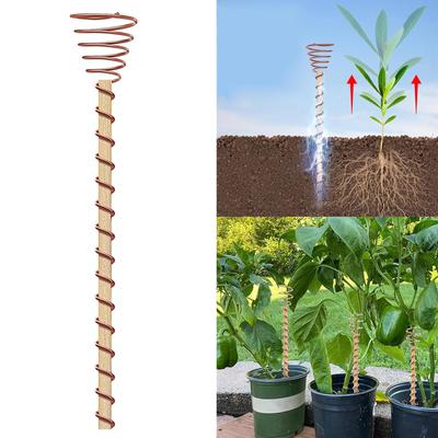 6/8/10 Piezas Estacas para Plantas de Electrocultura Jardinería Antenas de Bobina de Cobre para Cultivar Plantas de Jardín Verduras Usando