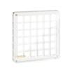 Mini durchsichtige Muschelsammlung Box - Hohe Transparenz, Stark magnetischer Acryl-Koffer