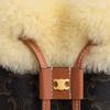 Celine Triomphe Clara Classic Logo Bucket Bag Women Handbags Brown 116882GH3-03TV