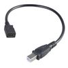29cm USB 5Pin Data Sync Cable USB 5Pin Female to USB B Male Adapter Cable for Printer Scanners Musical Instrument