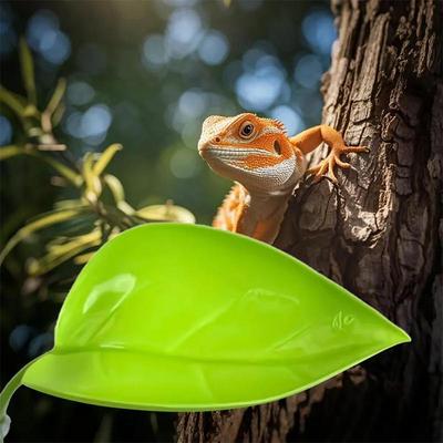Akvarijní příslušenství Akvárium Betta List Postel pro ryby Odpočívadlo pro ryby Třecí list Vodní umělá rostlina Houpací síť Simulace krajiny