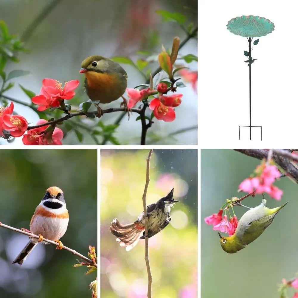 Durable Bird Feeder Ground Plugin Iron Bird Feeding Dish Garden Pedestal Stake Bird Bath Outdoor