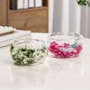 Bol de Sticlă 300ml cu Perete Dublu din Sticlă Borosilicată cu Flori Uscate Bol Decorativ Artistic pentru Supă Desert
