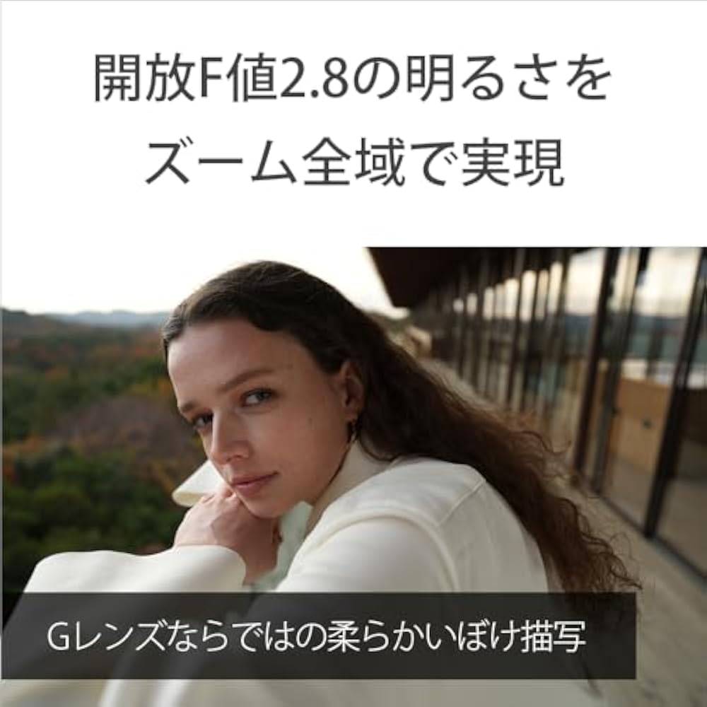 SONY (Sony) Wide Angle Zoom Lens Full Size FE 16-25 mm F2.8 G Lens Digital Single Lens Alpha [E M...