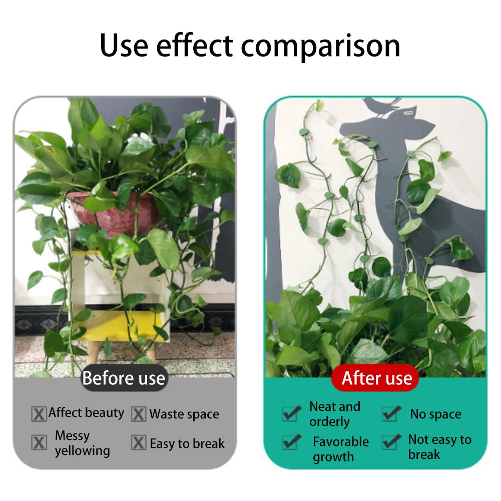 10-50 ks Neviditelné klipy na popínavé rostliny na zeď Upevňovací prvek Ratanová vinná réva Držák Pevná spona Klipy na listy pro Zahradní rostlinu Trakční držák