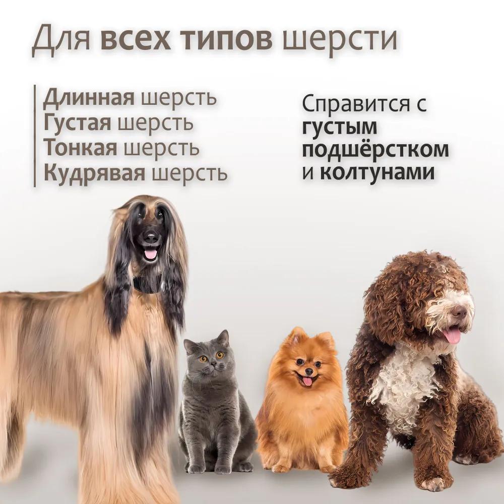 Clipper for dogs and cats, for animals, Cordless clipper with battery for grooming, Wachen