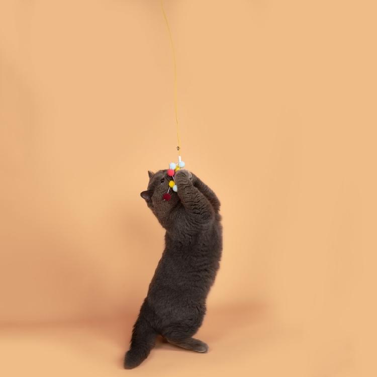Retractable Cats Toy Rope Funny Cats Teasing Toy Cats Indoor Exercising