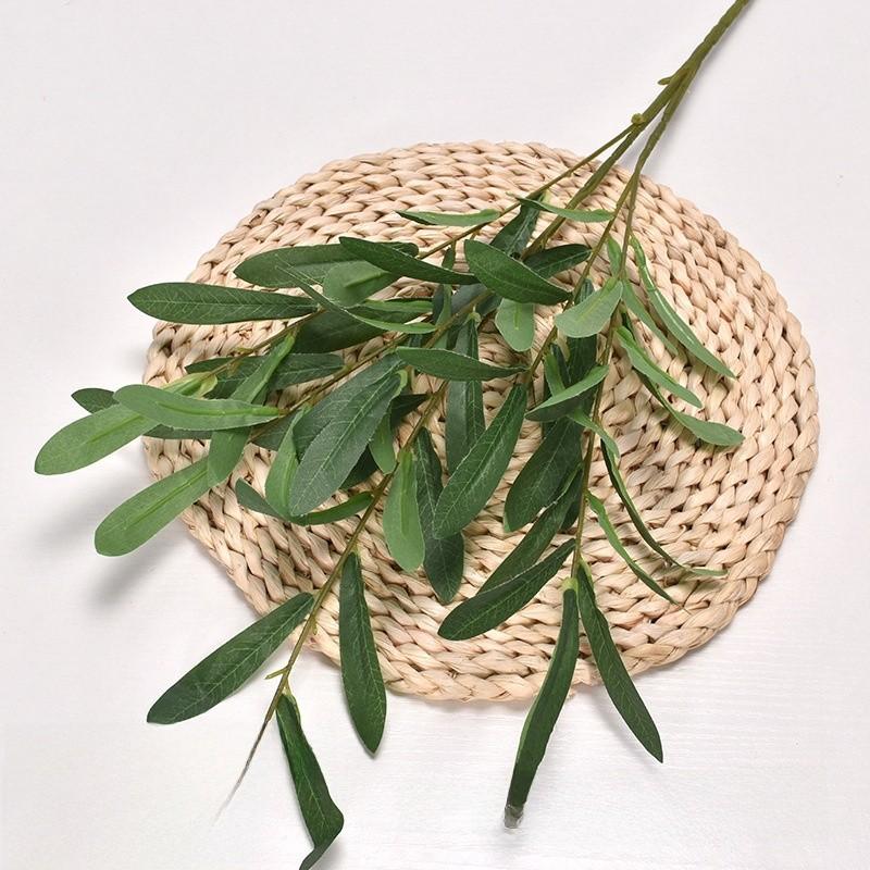 Deliciosa Liebm Monstera And Eucalyptus Citriodora Hook Green Plants Decor