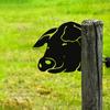 Farm Peeping Animals Cattle Metal Art Outdoor Outdoor Garden Pendant Decoration
