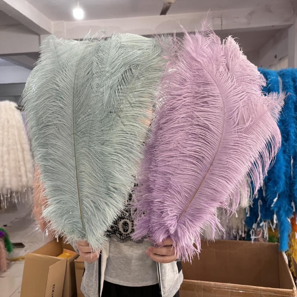 10Pcslot Natural Long Ostrich Feather Bulk 40-65CM16-26inch for Wedding Party Dining Table Center Vase Decor Home Lamp Feather