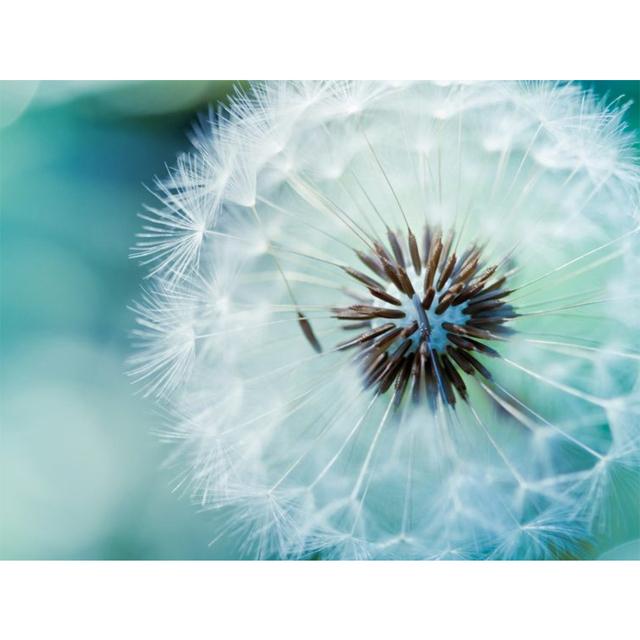 5D Diamond Painting Flower Rhinestone Picture Full Round Diamond Embroidery DIY Mosaic Art Decoration Rhinestone Gift