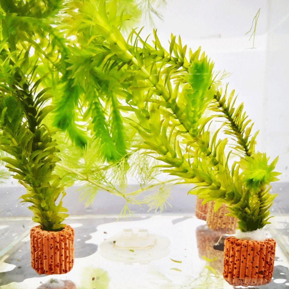 10 Stück/Set Dekorative Wasserpflanzringe Schwerkraftfixierte Wasserpflanzenfixierringe Aquarium