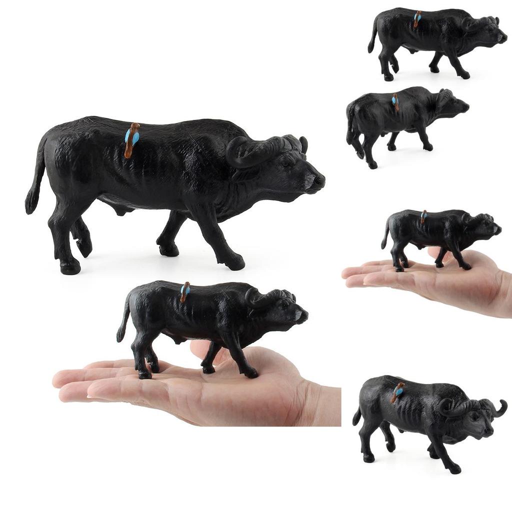 Búfalo de Agua Animal Salvaje Modelo Juguete de Plástico Para Niños Sala de Juegos Educativa Decoración