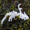 3D Printed Flying Dragon Figurine with Movable Joints & Wings Poseable Dragon Desktop Ornament Collectible Toys
