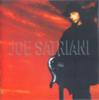 CD JOE SATRIANI - Joe Satriani  2481102 Epic, Relativit 1995 Brazil Rock Used
