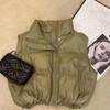 Fashionable Stand Collar Down Waistcoat In Korean Style for Women