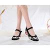Autumn Elevator Shoes Woman Casual Harajuku Chinese Ethnic Style Canvas Vintage Embroidered Cloth Hanfu Shoes Women Zapatos