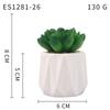 Small, Wavy Cup-Shaped Simulated Succulent Plant Potted Plant, Nordic Office Furniture Fresh Decoration
