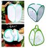 Green Reptile Pets Cage Transparent Mesh Breeding Observing Cages  Butterfly Mantis Bird Silkworm