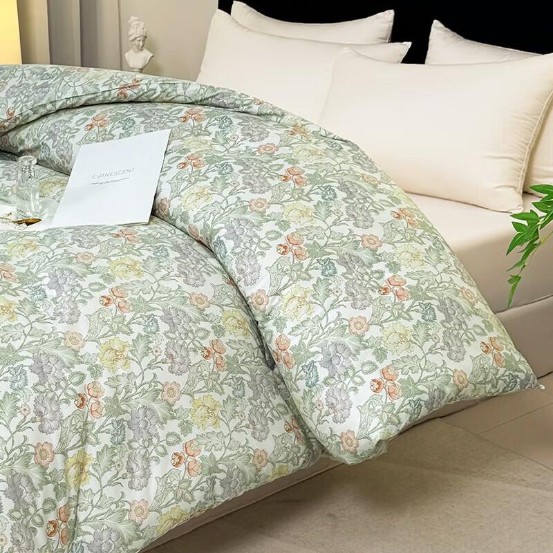 PAUI DAVID Starry Sleep Brushed Quilt