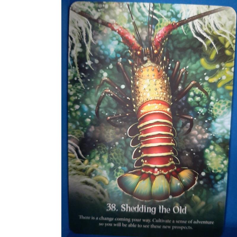 Whispers of the Ocean Oracle Cards