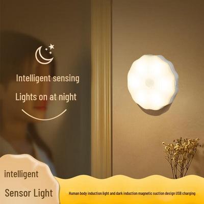 Magnetic Induction Smart Night Light CN Plug (adapter Included)