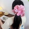 Elegant High-Grade Gradient Color Cloth Hair Band Small Fresh For Gentle Lady Style Hair Ponytail Hair Accessories
