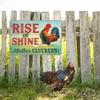 Vintage Tin Sign - Home Is Where the Chickens Are - Metal Signs Funny for Farmhouse Decor - Metal Wall Art for Chicken Coop