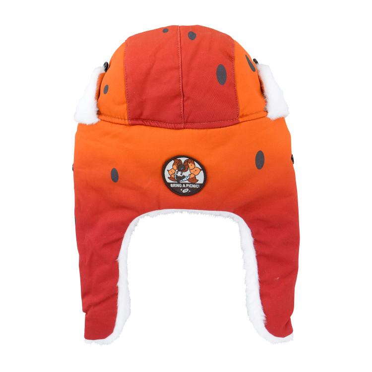 POKEMON Středová zimní čepice Přineste si piknik! Vulcamos, 9782068493, Populární Pokémon v Koreji