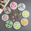 Silicone Fruit Gummy Cake Mold Safe Chocolate Mold New Baking Cake Decoration Tool  Fondant Craft