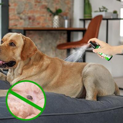 Spray Natural Care de 100 ml para Pulgas y Garrapatas en Perros y Gatos Spray para Pulgas para Perros y Gatos de Interior y Exterior Spray para Pulgas Protección para Mascotas