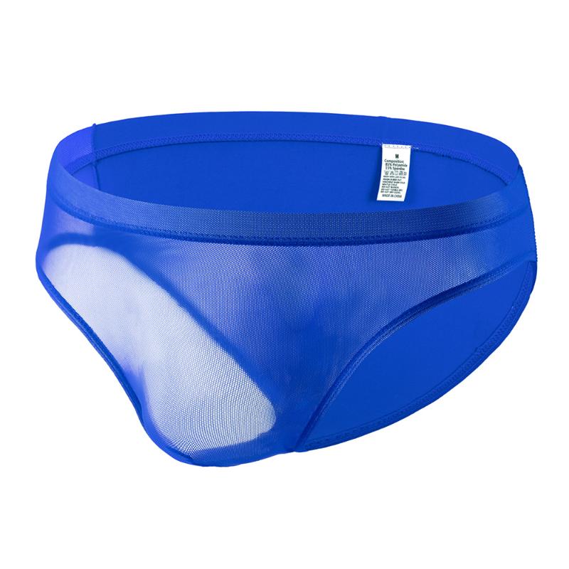 Men'S Sexy Briefs Transparent Mesh Panties Sexy Ice Silk Ultra-Thin Bikini Slip Homme U Convex Pouch Lingerie Underpants