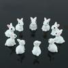 15Pcs Lovely Miniature Mini Rabbit Resin Garden Fairy Ornament Flower Plant Pot Home Figurine Animal Decor Figurines Miniatures