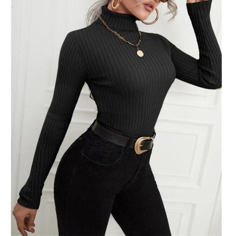 Fashion Women Long Sleeve Ribbed Turtleneck Sweater Slim Casual Pullover Top Autumn Winter Knitted Jumpers