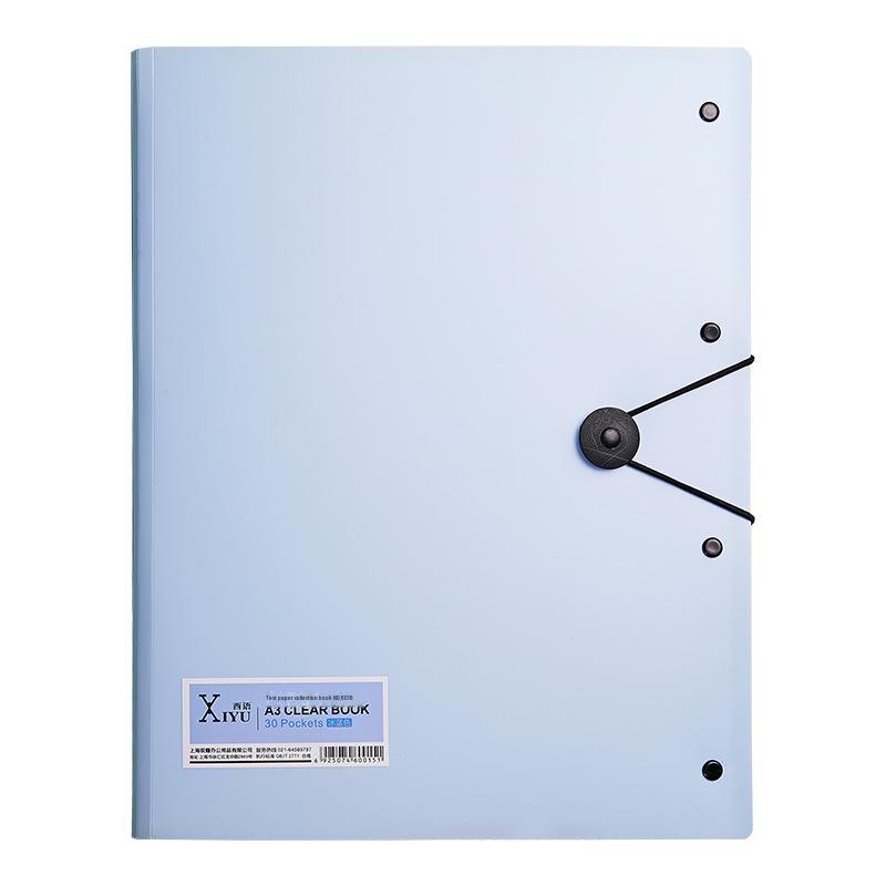 Large Capacity A4 Transparent Accordion File for Document Storage