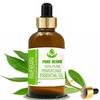 Pure Herbs Ravensara (Ravensara aromatica) Čistý a přírodní esenciální olej terapeutické kvality ve sklenici