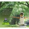 OR Spa Shampoo Treatment Set Deep Cleanse Refill Relaxing Forest Scent Deep Cleanse Refill Set Off&Relax & (400ml each) - -