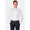 Lancerto Regina Shirt