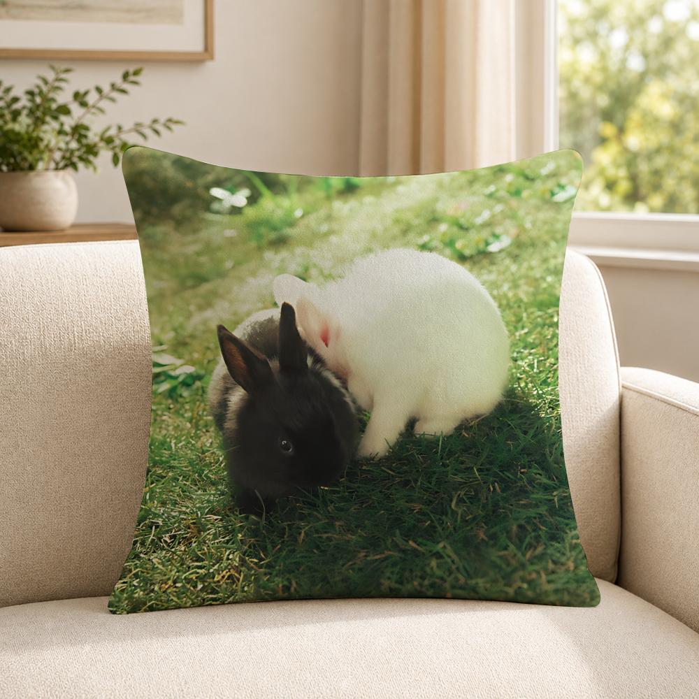 Rapper ZZICO Cushion Cover Soft Short Plush SkinFriendly Cushion Case for MultiScene Use